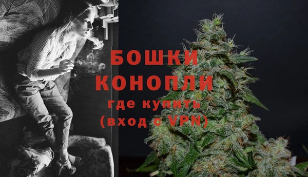 прущие крисы Верея