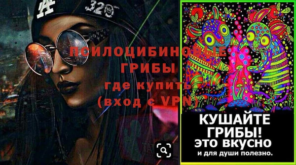 прущие крисы Верея