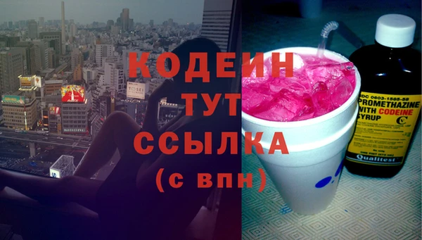 СК Вязьма
