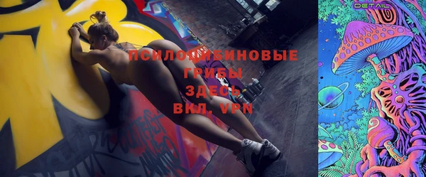 СК Вязьма