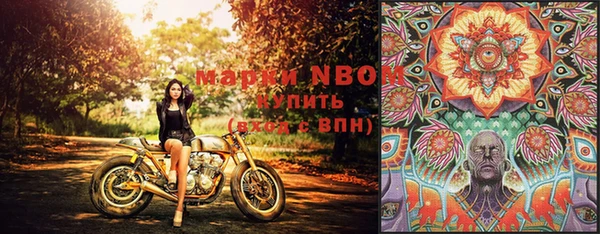 прущие крисы Бронницы