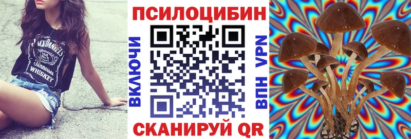 где можно купить наркотик  Донской  Псилоцибиновые грибы ЛСД 
